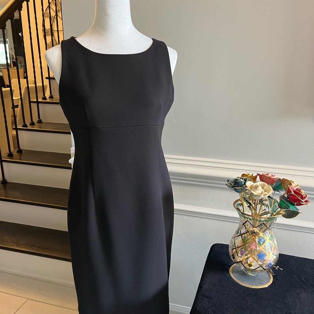Casper petite dress.